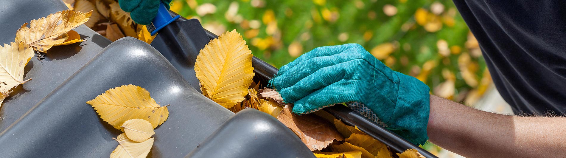 Gutter Cleaning in Cocoa, FL