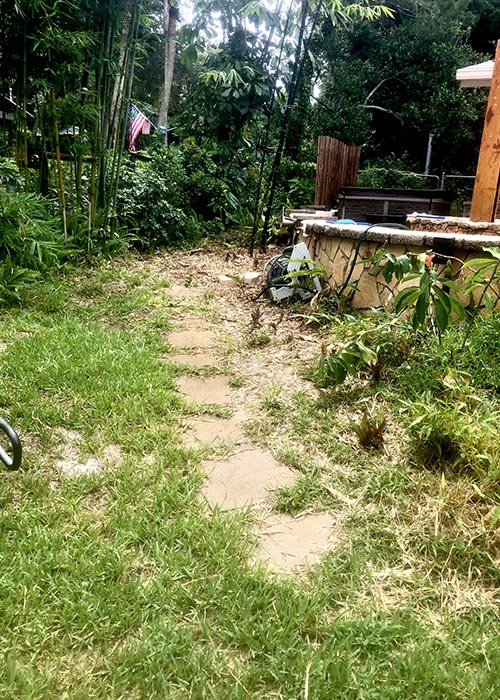 Cocoa Landscaping Photo Gallery