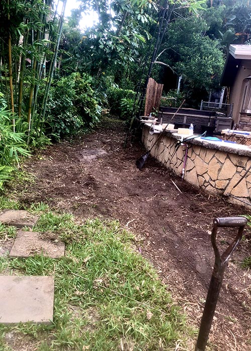 Cocoa Landscaping Photo Gallery - Brevard Property Services Gallery